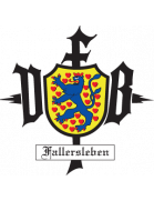 VfB Fallersleben